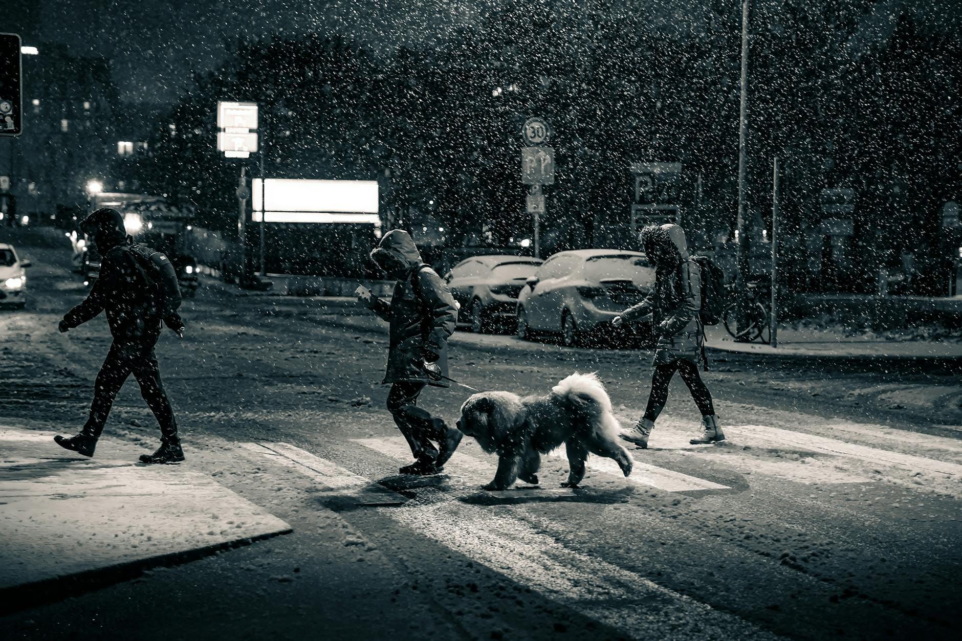 Sylwetki pieszych na ośnieżonej ulicy nocą w Berlinie