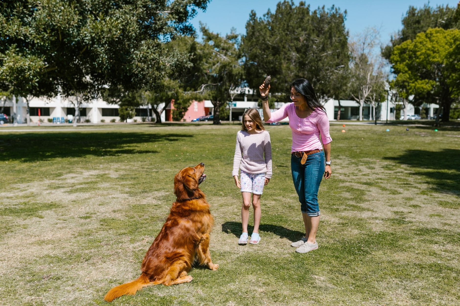 Kobieta i dziecko bawią się z golden retrieverem w słonecznym parku