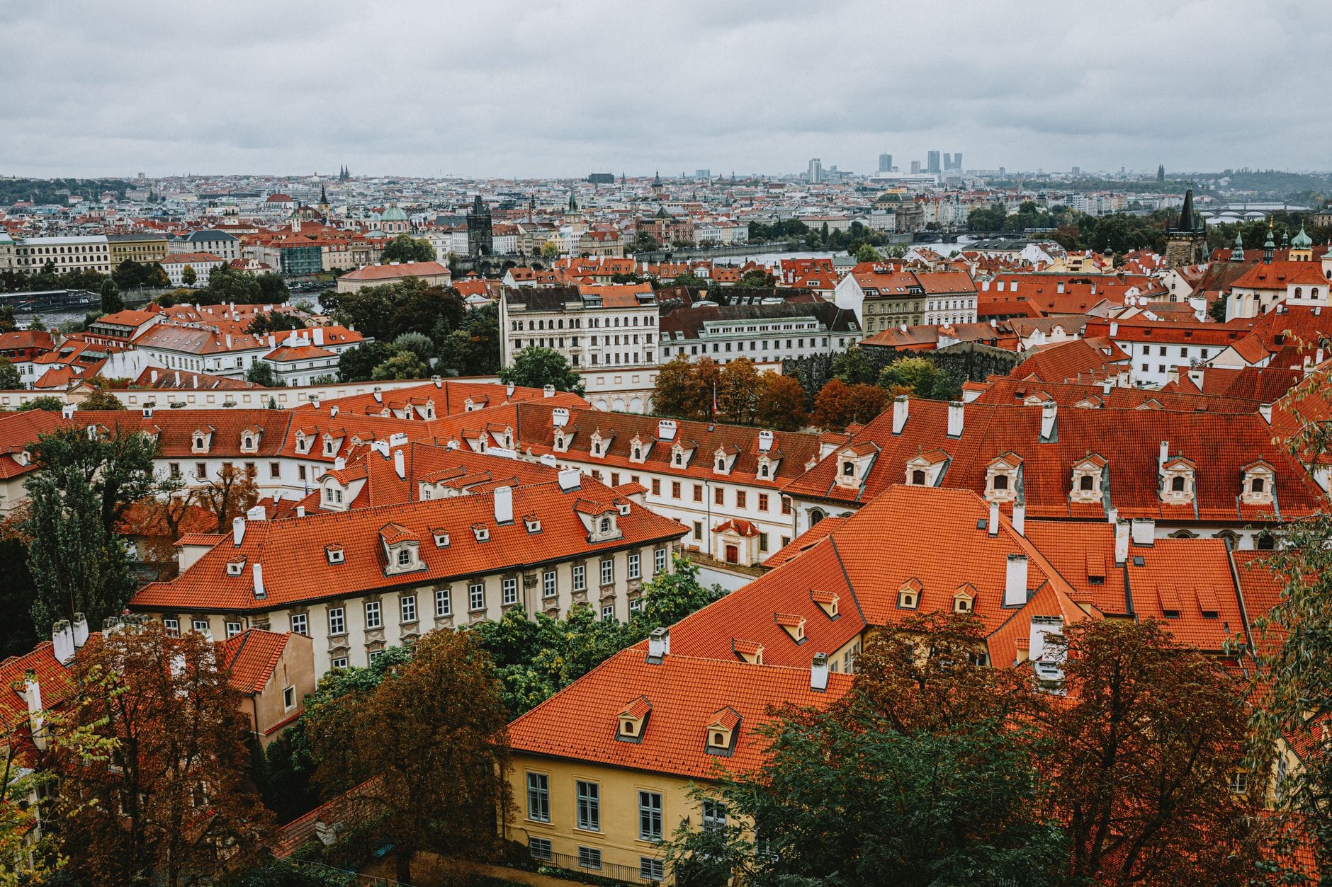Panorama czerwonych dachów Pragi oglądana z góry