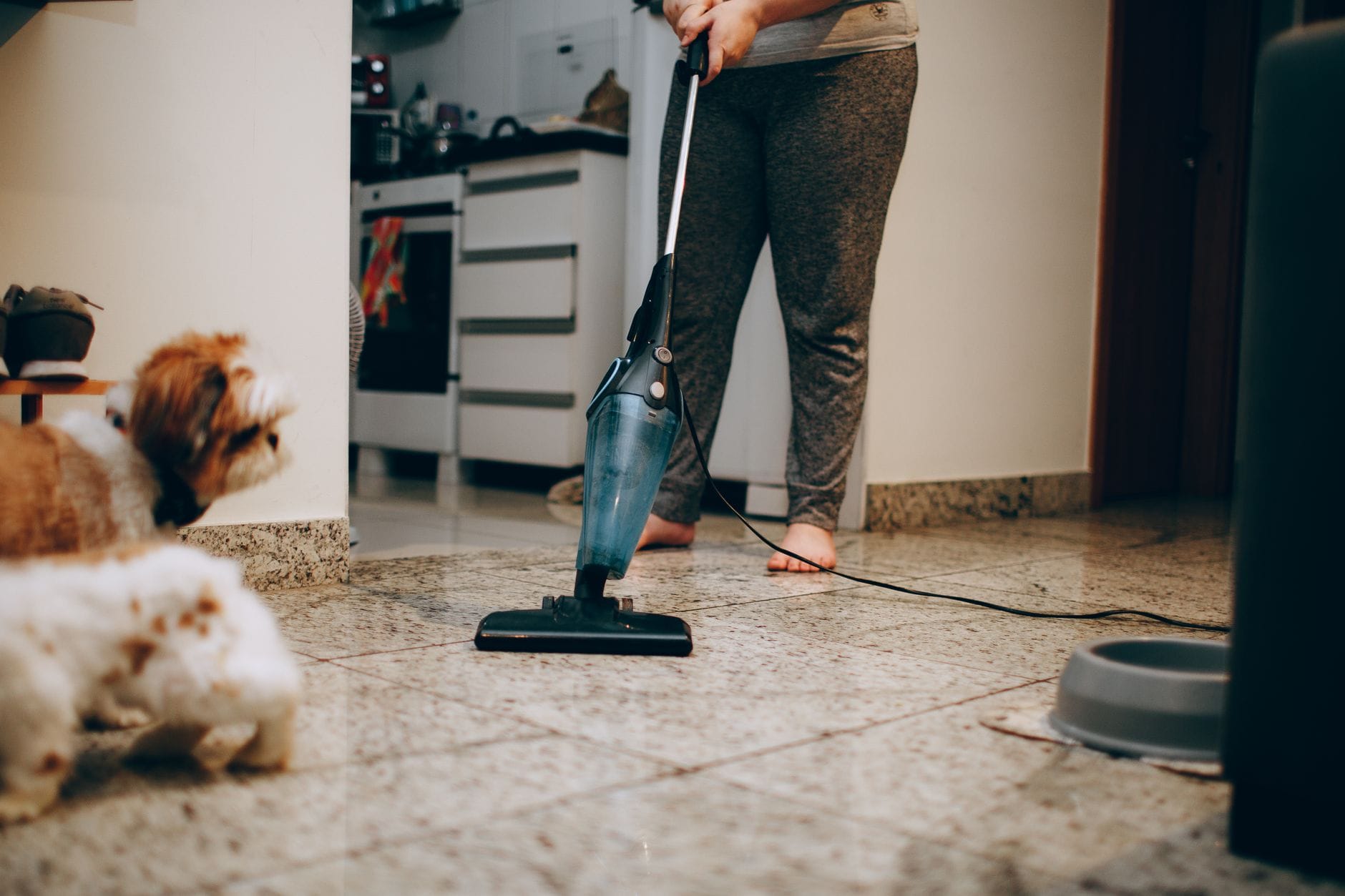 Kobieta odkurza podłogę w salonie, obok siedzi obserwujący ją pies Kobieta odkurza podłogę w salonie, obok siedzi obserwujący ją pies